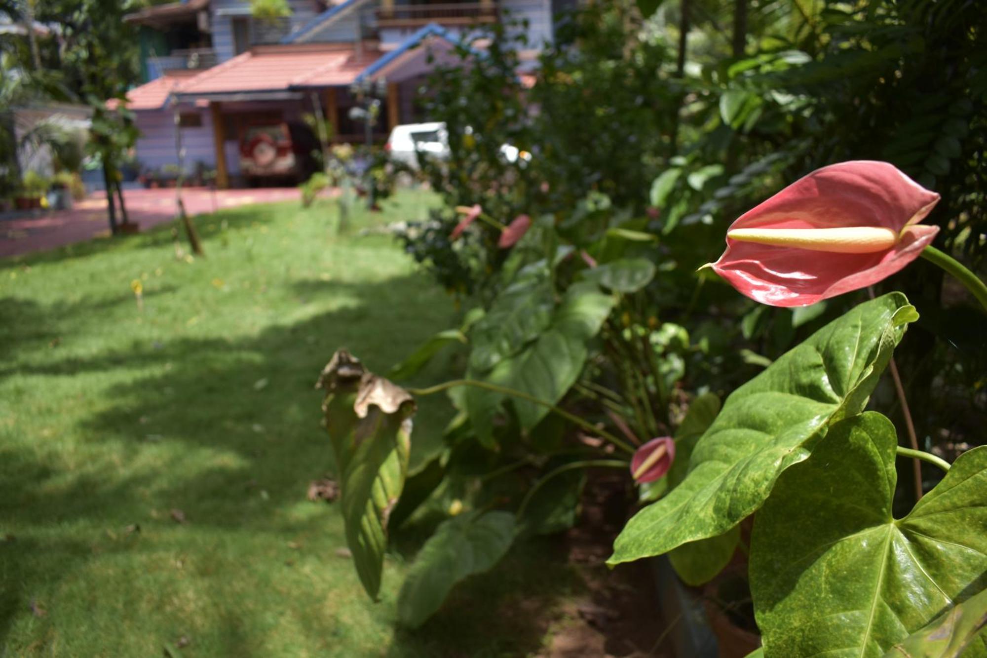 Ben's ! * Kannur